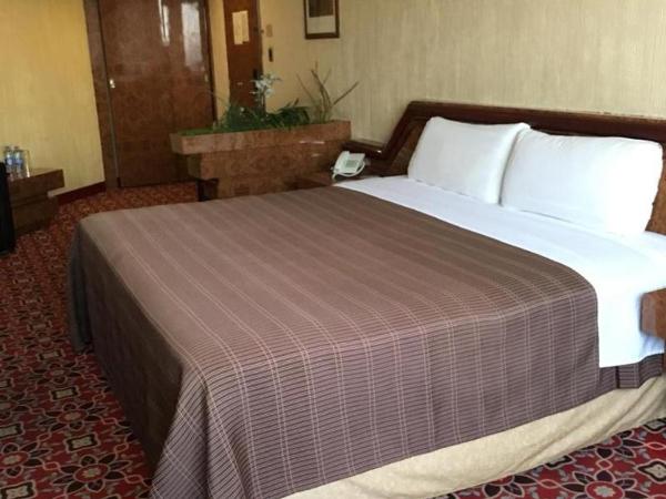 Hotel Escala Central del Norte : photo 1 de la chambre room #73706419