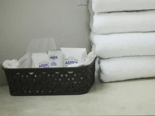 Aristos Express CDMX : photo 4 de la chambre room #177911508