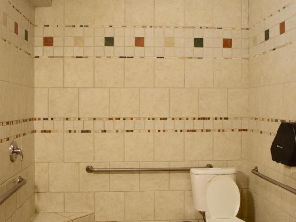 Green Tortoise Hostel Seattle : photo 2 de la chambre lits superposés dans dortoir pour femmes de 6 lits