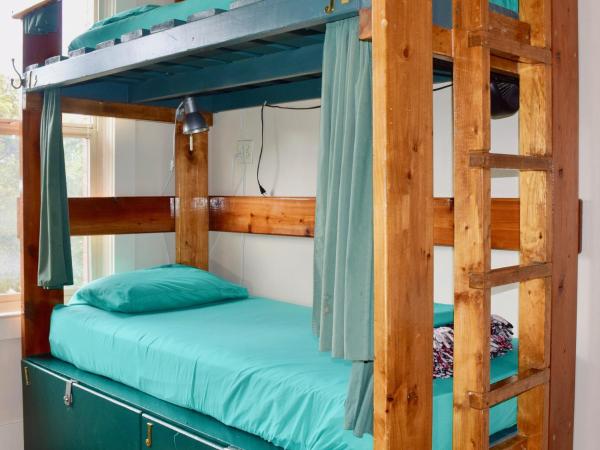 Green Tortoise Hostel Seattle : photo 8 de la chambre lits superposés dans dortoir femmes de 8 lits