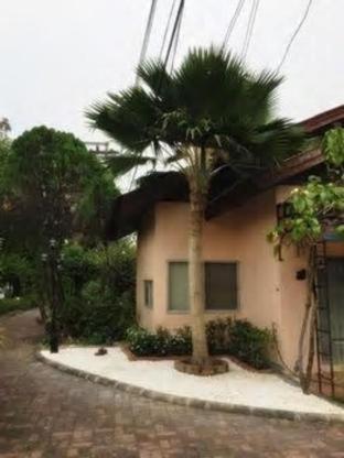 Bangkok Rama Hotel : photo 7 de la chambre room #36670907