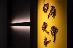 The Royal Park Hotel Iconic Osaka Midosuji : photo 2 de la chambre room #535253218