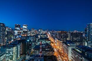 The Royal Park Hotel Iconic Osaka Midosuji : photo 2 de la chambre room #535253223