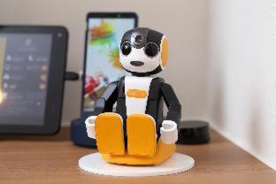 Henn na Hotel Osaka Namba : photo 1 de la chambre room #292253712