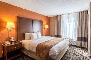 Comfort Suites : photo 3 de la chambre suite lit king-size accessible aux personnes à mobilité réduite avec canapé-lit - non-fumeurs