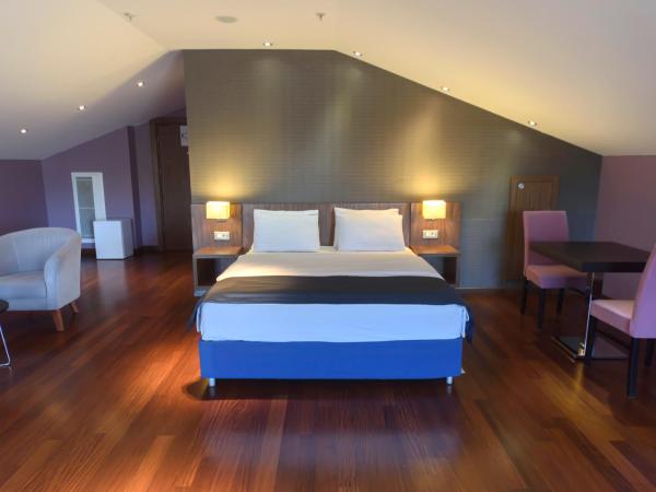 Holiday Inn Express Istanbul-Altunizade, an IHG Hotel : photo 1 de la chambre chambre double deluxe - fumeurs