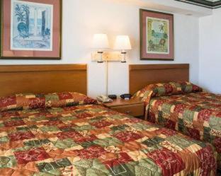 Seaview Hotel : photo 8 de la chambre room #5922408