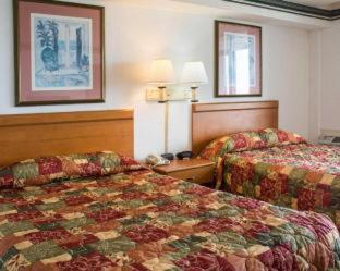 Seaview Hotel : photo 9 de la chambre room #5922408