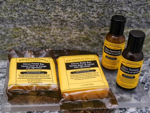 Best Western Plus Chocolate Lake Hotel - Halifax : photo 10 de la chambre suite lit queen-size