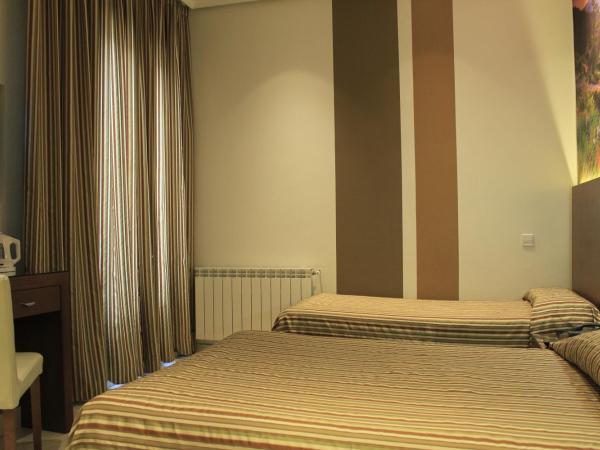 Hostal Atocha Almudena Martín : photo 9 de la chambre chambre lits jumeaux