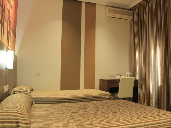 Hostal Atocha Almudena Martín : photo 4 de la chambre chambre lits jumeaux