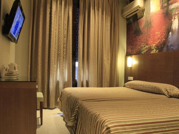 Hostal Atocha Almudena Martín : photo 3 de la chambre chambre lits jumeaux