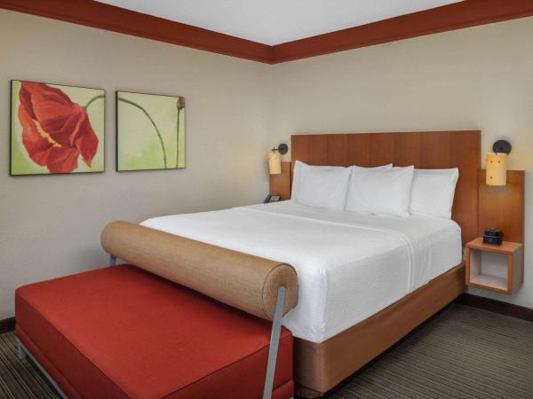 La Quinta by Wyndham Atlanta Ballpark/Galleria : photo 2 de la chambre chambre lit king-size avec baignoire - accessible aux personnes à mobilité réduite/malentendantes - non-fumeurs