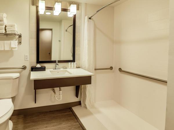 Country Inn & Suites by Radisson Nashville Airport TN : photo 6 de la chambre suite lit king-size - accessible aux personnes à mobilité réduite - non-fumeurs