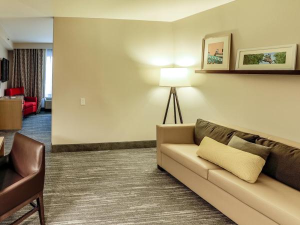 Country Inn & Suites by Radisson Nashville Airport TN : photo 2 de la chambre suite studio lit king-size - non-fumeurs