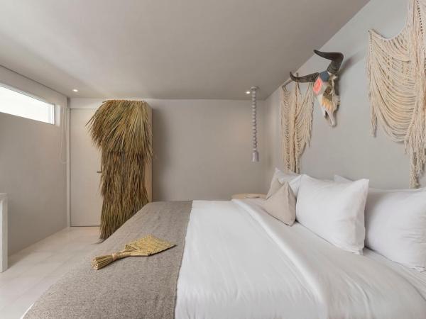 Hotel Boutique Casa Lulu : photo 4 de la chambre chambre double - vue sur piscine