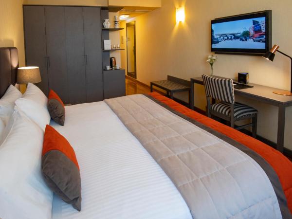 Hotel Grand Brizo Buenos Aires : photo 1 de la chambre chambre double standard