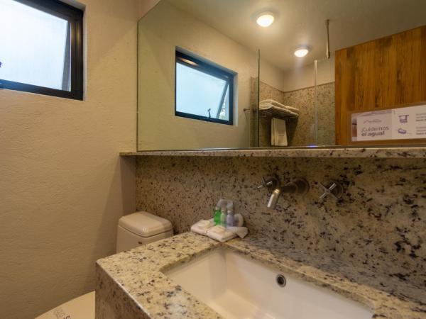 Hotel Flamingo Inn : photo 6 de la chambre chambre lit king-size