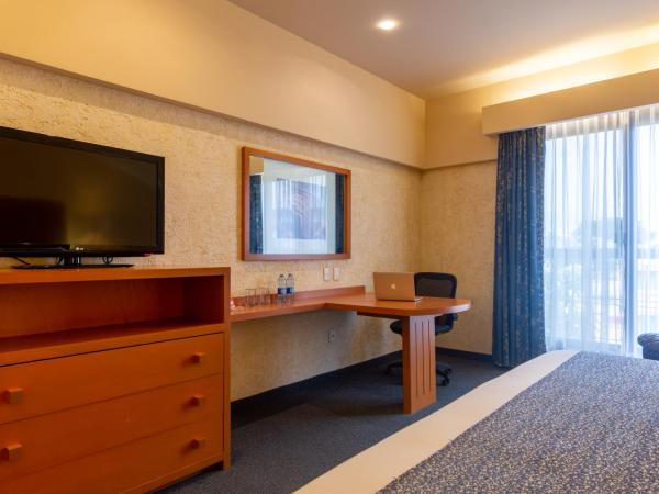 Hotel Flamingo Inn : photo 9 de la chambre chambre lit king-size exécutive