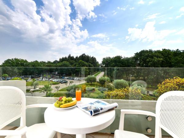 Hotel Mediteran Plava Laguna : photo 2 de la chambre chambre classique avec balcon