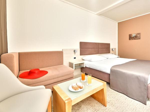 Hotel Mediteran Plava Laguna : photo 4 de la chambre chambre classique avec balcon et canapé-lit