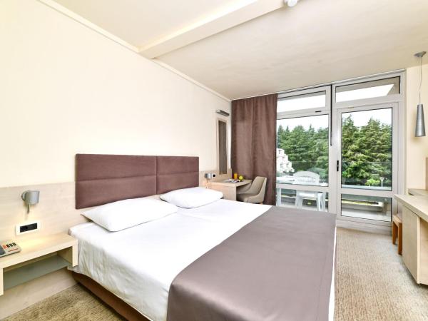 Hotel Mediteran Plava Laguna : photo 3 de la chambre chambre supérieure avec balcon et vue sur la mer