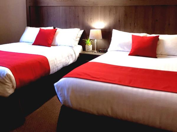 Hotel et Motel Le Chateauguay : photo 5 de la chambre chambre double supérieure avec deux lits doubles