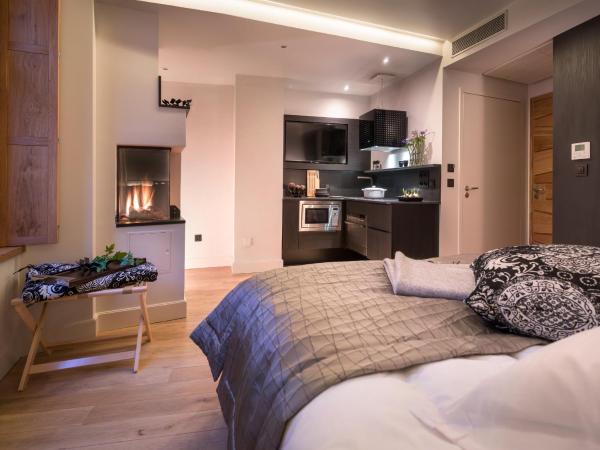 Les Loges Annecy Vieille Ville : photo 2 de la chambre studio avec cheminée et douche spa