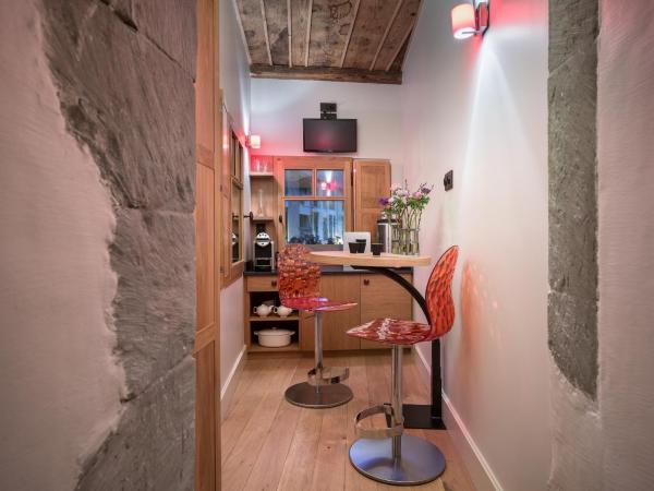 Les Loges Annecy Vieille Ville : photo 3 de la chambre studio avec cheminée et douche spa