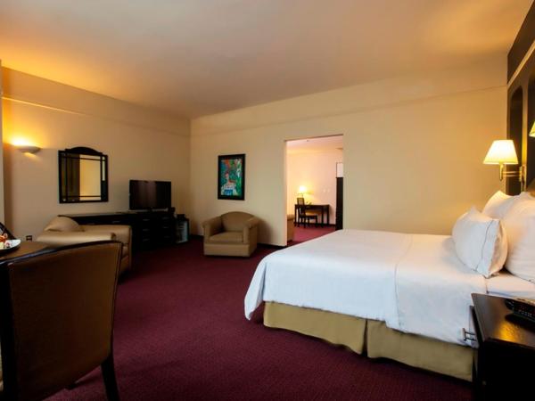 Krystal Monterrey : photo 2 de la chambre room #180295217