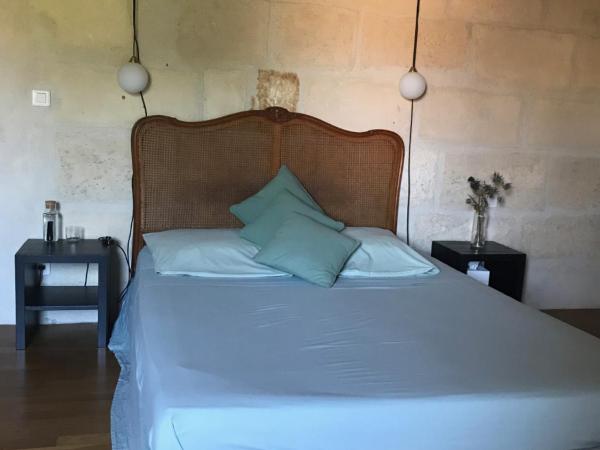 Le Patio d'Arles : photo 5 de la chambre chambre lit queen-size - vue sur jardin