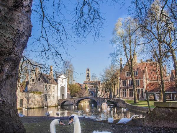 Gastenkamers Ten Huyze Marchandise : photo 3 de la chambre appartement 2 chambres