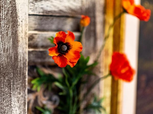 Ξενώνας Γούσιας : photo 8 de la chambre chambre double deluxe avec balcon