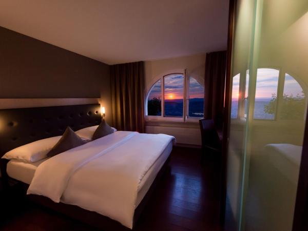 Hotel UTO KULM car-free hideaway in Zurich : photo 3 de la chambre chambre panorama - vue sur ville et lac