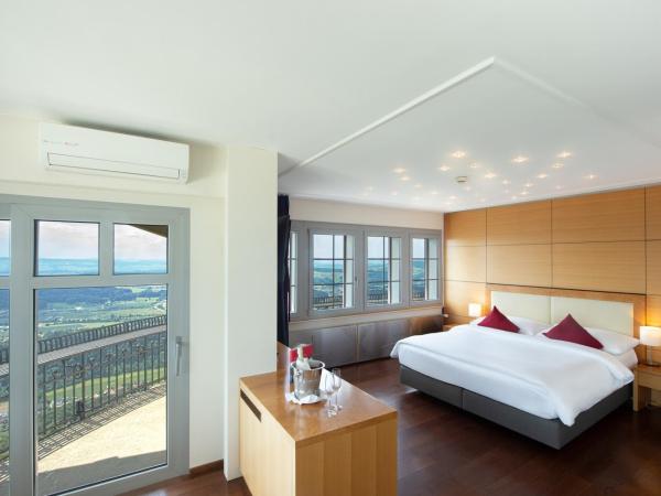 Hotel UTO KULM car-free hideaway in Zurich : photo 2 de la chambre suite résidence - vue sur vallée
