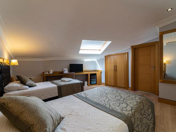 Levent Hotel Istanbul : photo 1 de la chambre chambre double ou lits jumeaux standard