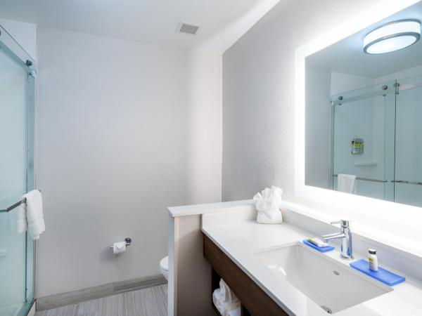 Holiday Inn Express & Suites Atlanta Airport NE - Hapeville, an IHG Hotel : photo 2 de la chambre chambre lit king-size standard