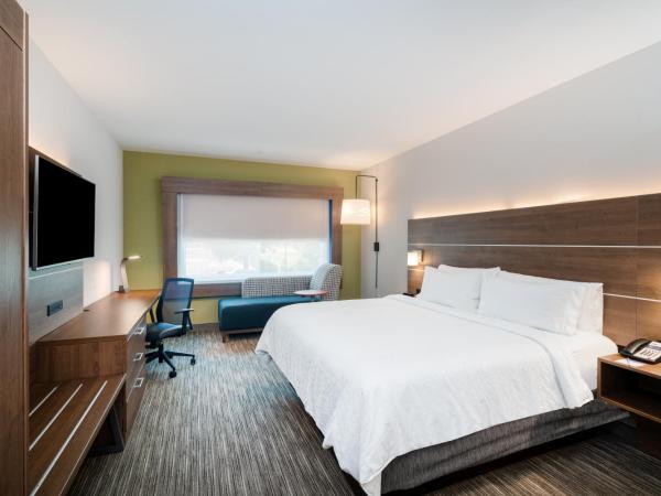 Holiday Inn Express & Suites Atlanta Airport NE - Hapeville, an IHG Hotel : photo 1 de la chambre chambre lit king-size - accessible aux personnes à mobilité réduite / adapté aux malentendants