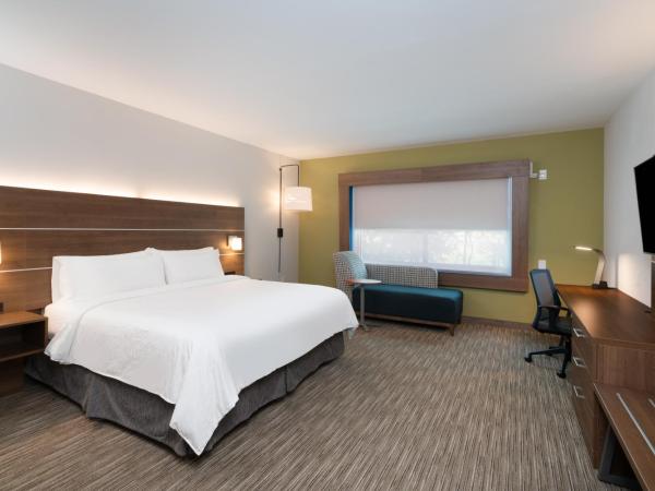 Holiday Inn Express & Suites Atlanta Airport NE - Hapeville, an IHG Hotel : photo 1 de la chambre chambre lit king-size standard - non-fumeurs 