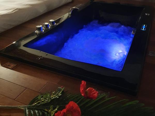 Au secret des Brégines : photo 2 de la chambre chambre lit king-size avec baignoire spa