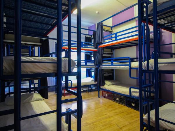 London Backpackers Youth Hostel 18 - 35 Years Old Only : photo 3 de la chambre lit simple dans dortoir de 12 lits réservé aux femmes