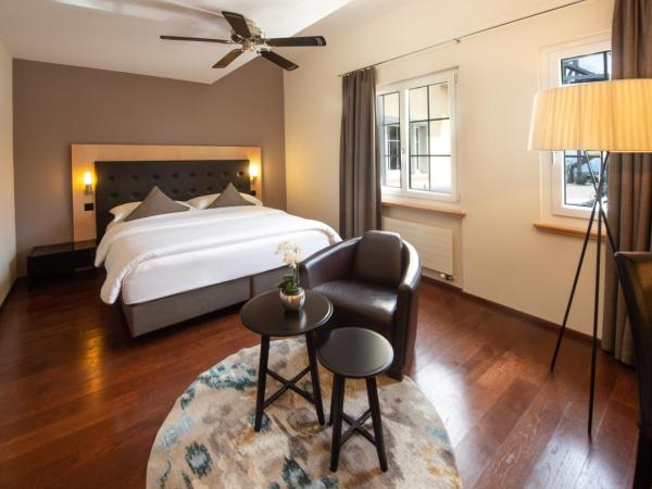 Hotel UTO KULM car-free hideaway in Zurich : photo 1 de la chambre chambre simple affaires