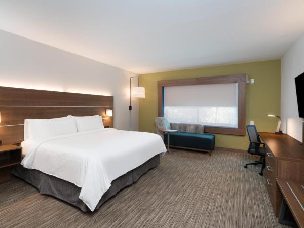 Holiday Inn Express & Suites Atlanta Airport NE - Hapeville, an IHG Hotel : photo 4 de la chambre chambre lit king-size standard - non-fumeurs 