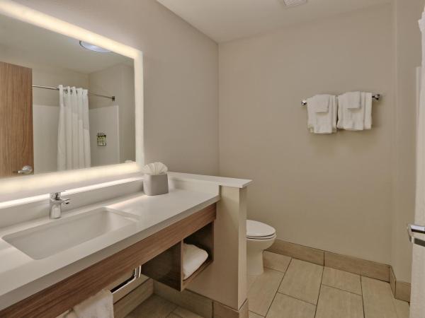 Holiday Inn Express & Suites - Albuquerque East, an IHG Hotel : photo 3 de la chambre chambre lit king-size standard