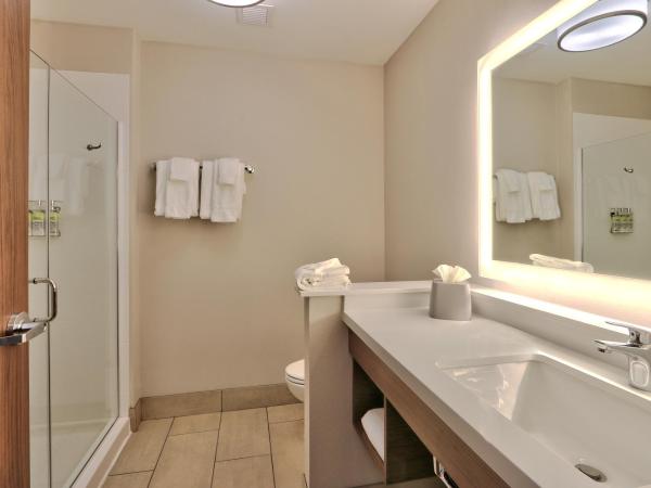Holiday Inn Express & Suites - Albuquerque East, an IHG Hotel : photo 5 de la chambre chambre lit king-size standard