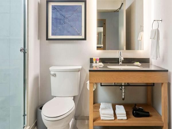 Hyatt Place Chicago Medical/University District : photo 4 de la chambre chambre lit king-size avec canapé-lit