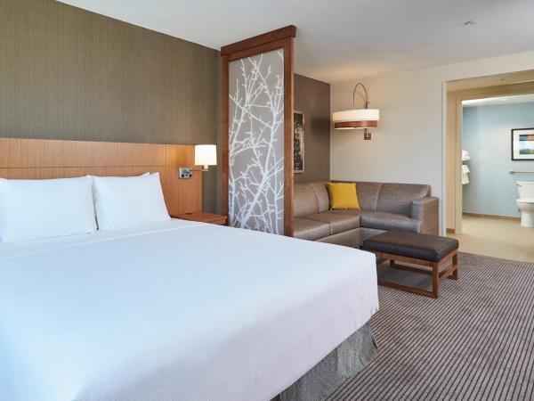 Hyatt Place Toronto/Mississauga Centre : photo 2 de la chambre chambre lit king-size avec canapé-lit