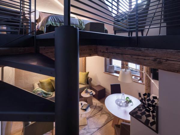 Les Loges Annecy Vieille Ville : photo 5 de la chambre appartement en triplex avec cheminée et douche spa