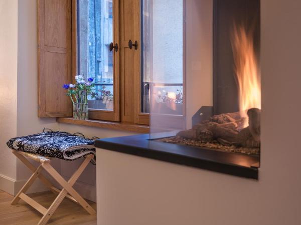 Les Loges Annecy Vieille Ville : photo 4 de la chambre studio avec cheminée et douche spa