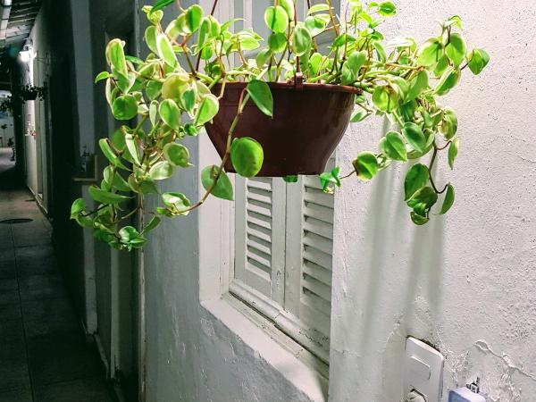 Sobrado Botafogo Guesthouse : photo 8 de la chambre chambre lits jumeaux Économique